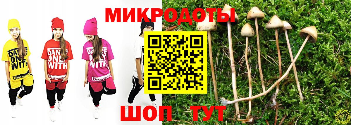Муром  Псилоцибиновые грибы MAGIC MUSHROOMS  Псилоцибиновые грибы Cubensis  Вход с VPN 