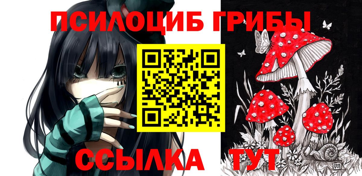 Псилоцибиновые грибы GOLDEN TEACHER Муром