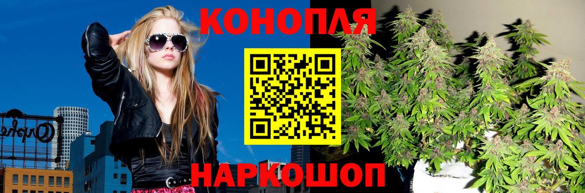 Бошки Шишки планчик Муром